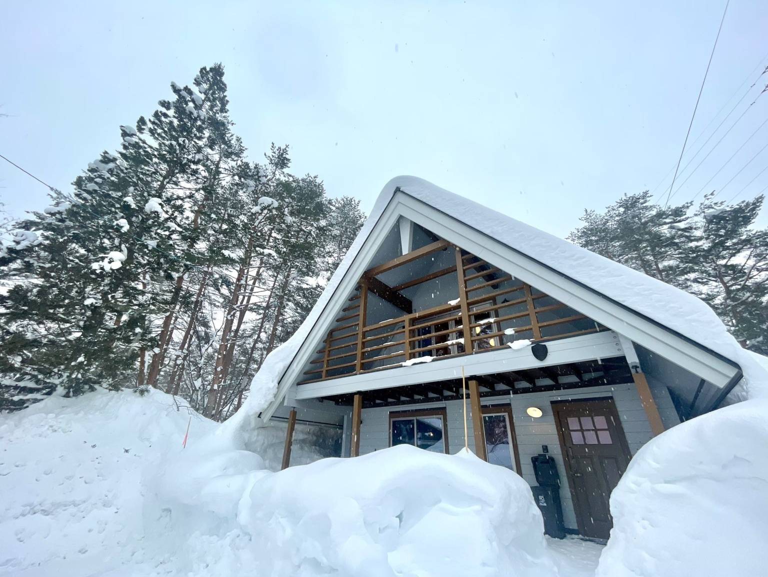 Rose 8F8C1D8C-658E-4491-BD4B-2E6BF95A6F29