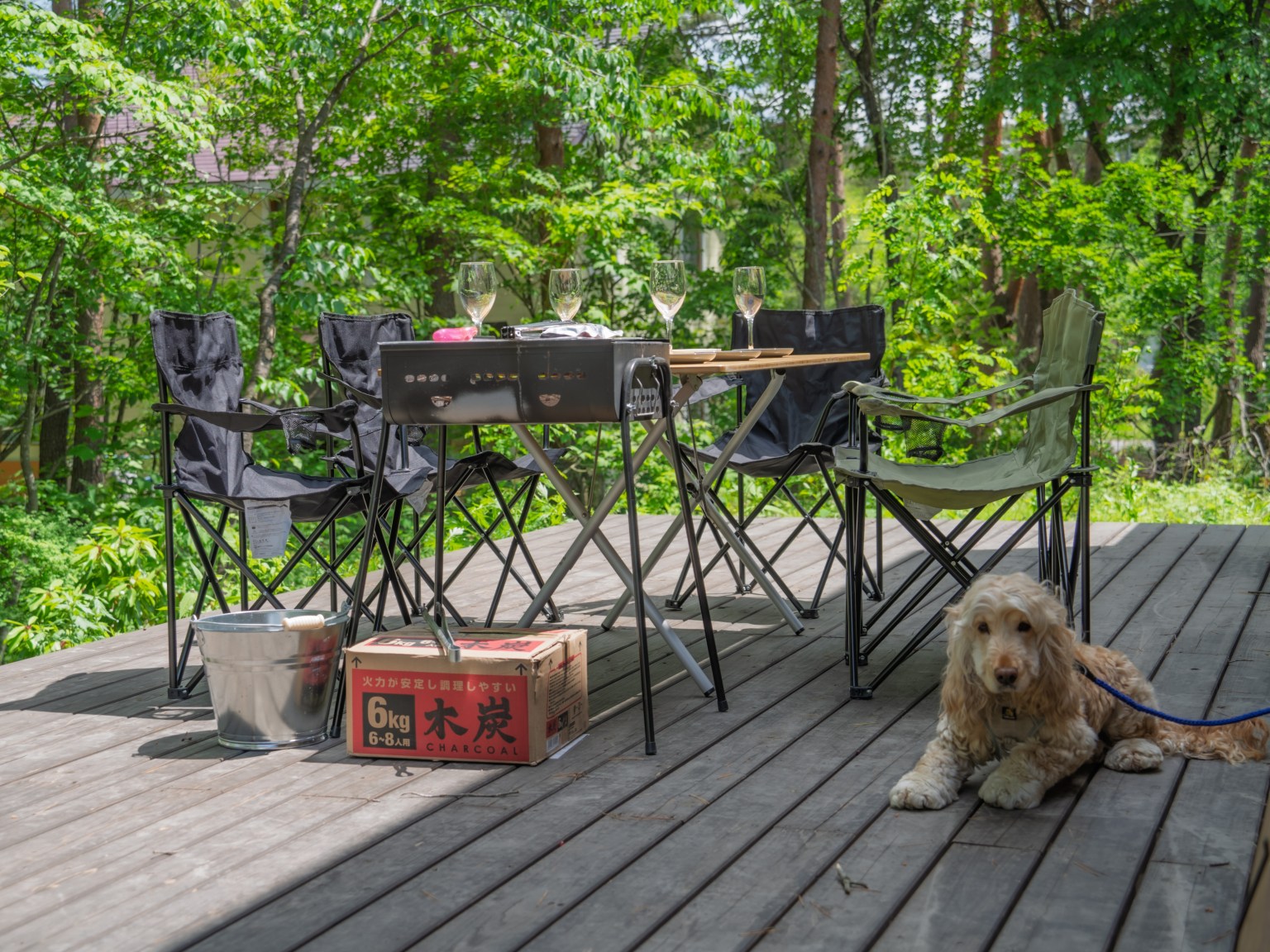 Rose DSC07914（編集済み）