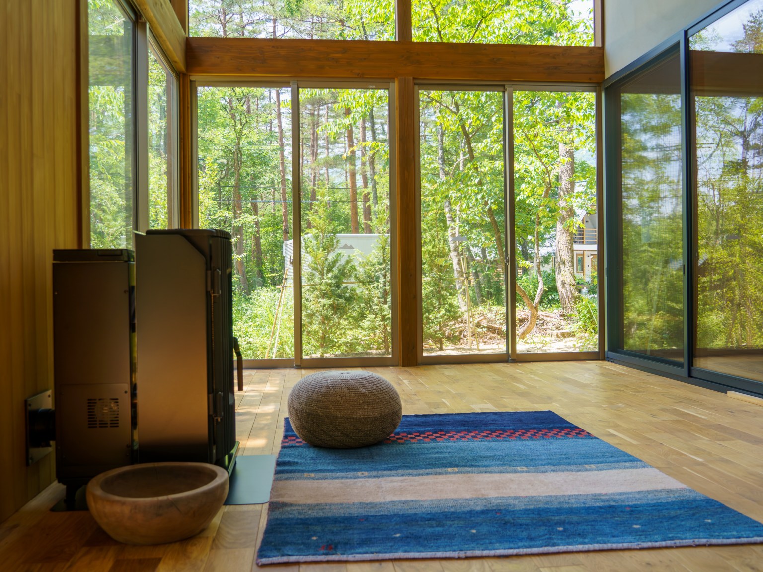 Swallow DSC08215（編集済み）