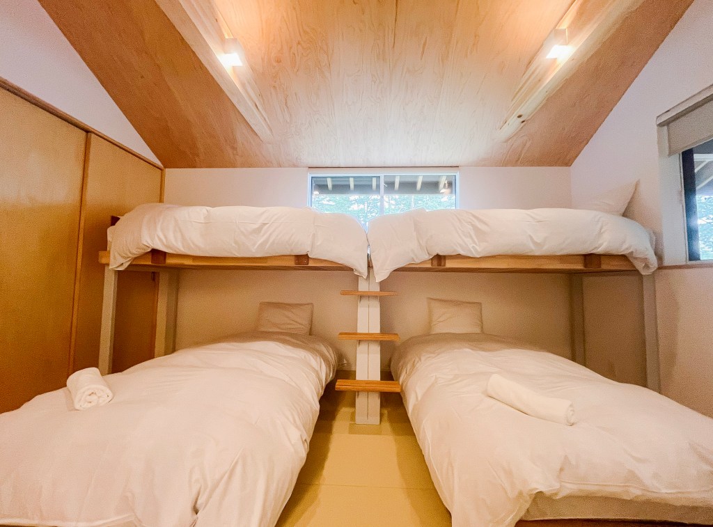 Swallow IMG_6355 (2) (1)