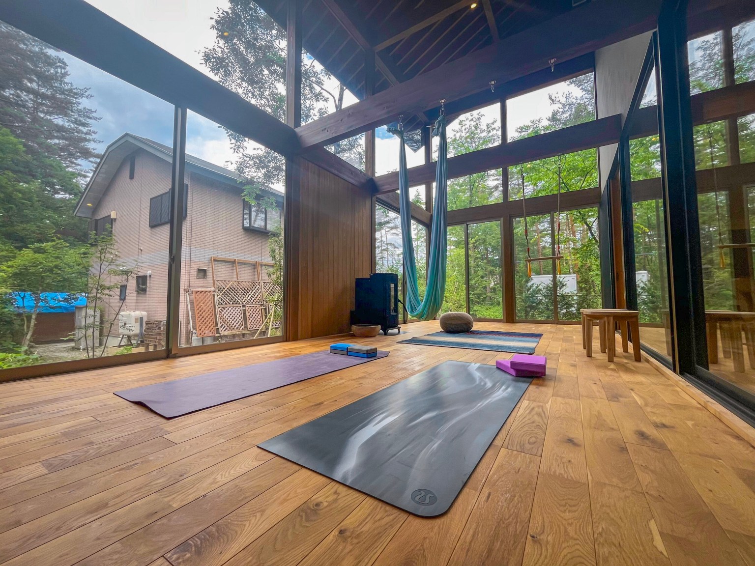 Swallow MG_6369 (1) (1)