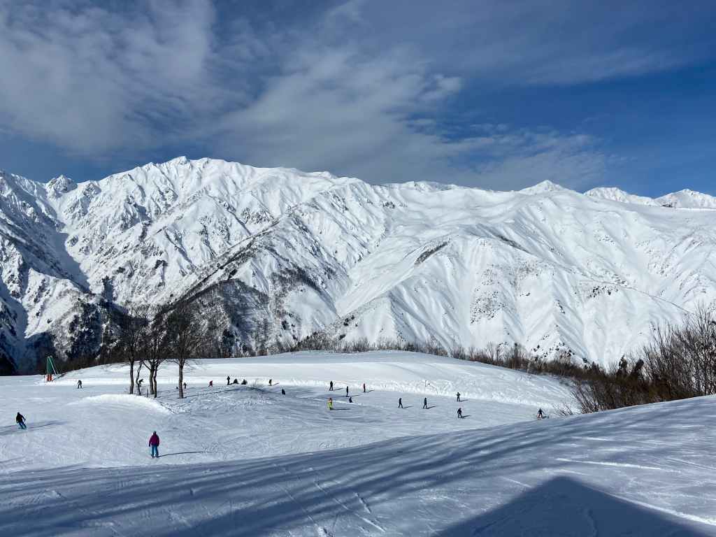 Season 2378168D-F691-48E2-9581-519E7255E132 (1)